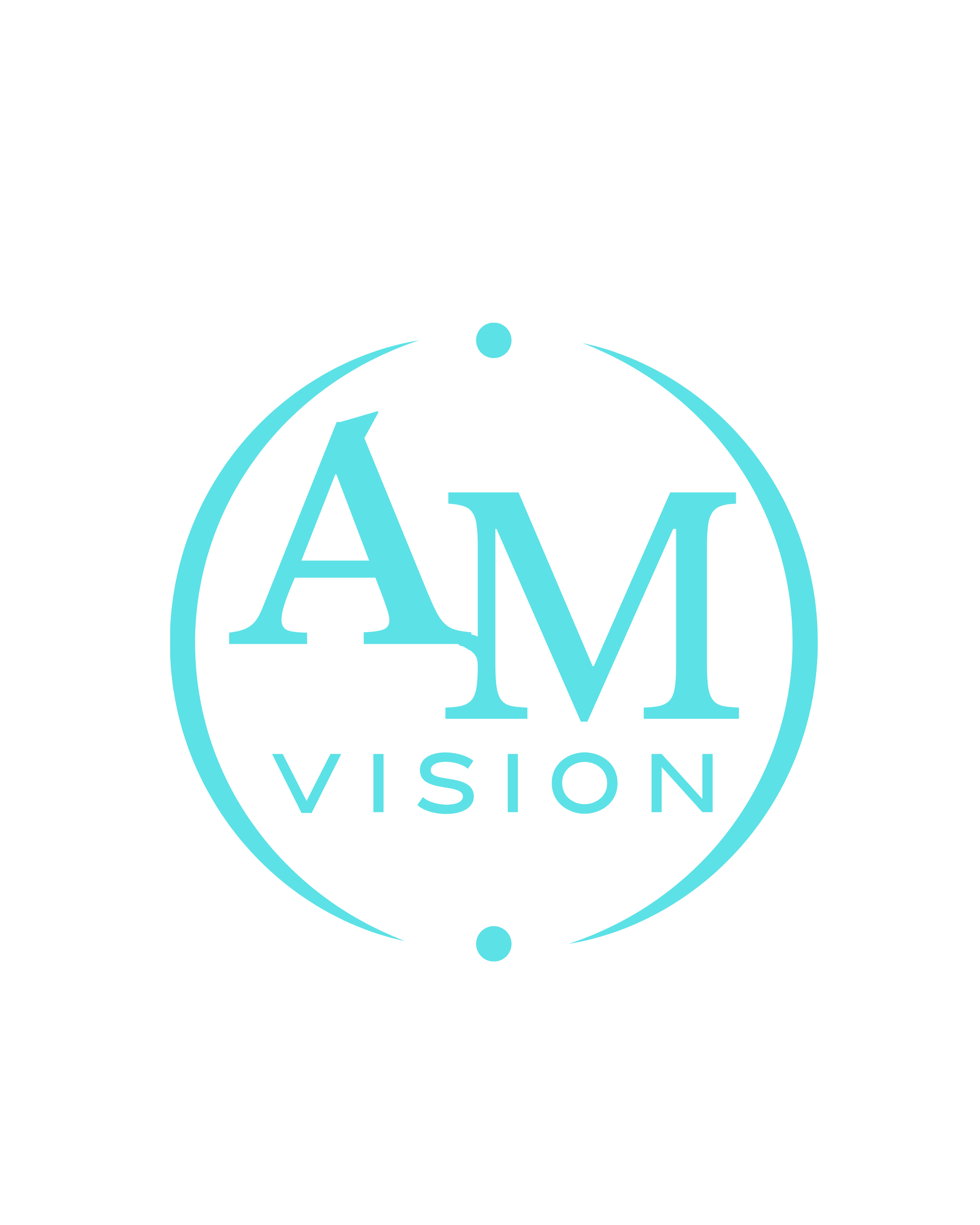 AM Vision RO
